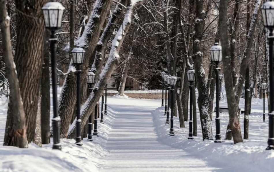 В Петербурге 15 декабря пройдет небольшой снег 